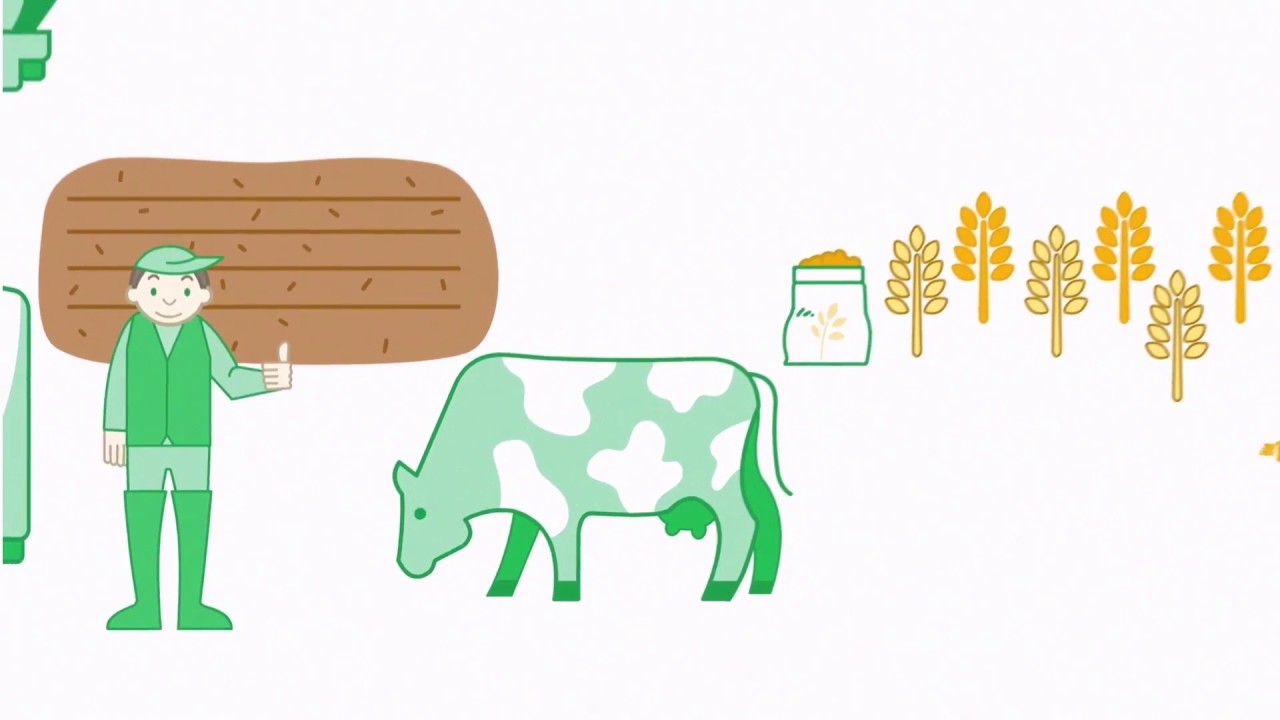 Les coproduits de la levure pour l'environnement - Lesaffre