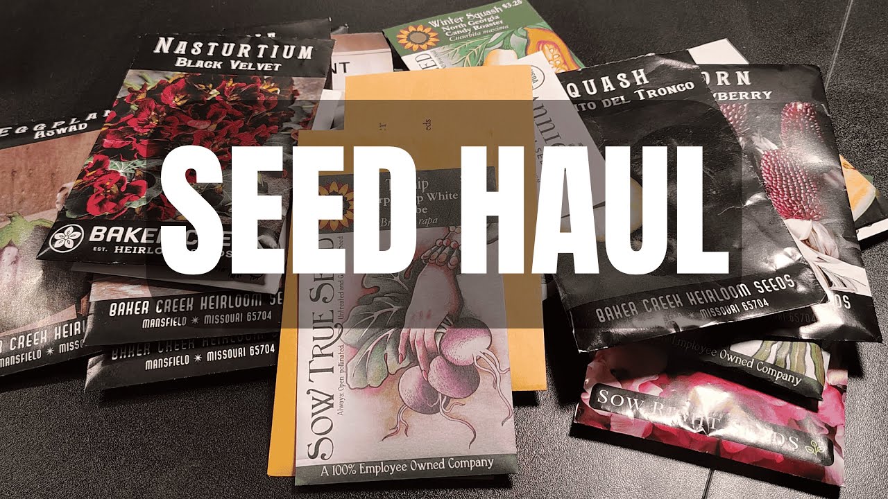 2026 HUGE Seed Haul |  My First Seed Haul | Did I Overdo It? | Tips and Hacks