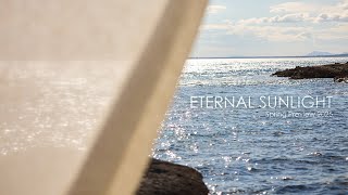 Eternal Sunlight By Koala Bay