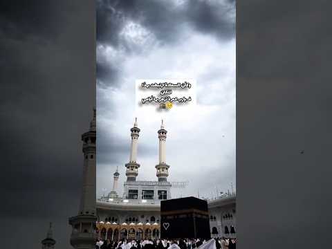 وكأن السعادة ارتبطت بهذا المكـان حالات واتس واسع الكرم عمرة مكة المكرمة المدينة المنورة Shorts 