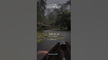 في جَنَّةٍ عَالية | القارئ عبدالرحمن مسعد #تلاوة_هادئة #ارح_قلبك