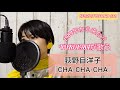 1984年から来た?? YOKO1984が歌う/荻野目洋子『CHA-CHA-CHA』