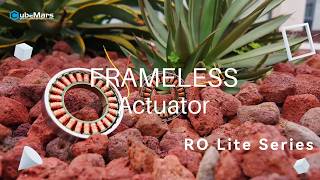 RO LITE - Lightweight Framelss Actuators for Robotic Arms