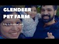 " Our little Farmer's big Day Out......" #our_little_eden_2026#glendeerpetfarm#farm#ireland 