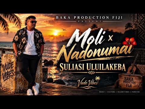 Moli x Nadonumai Vude Medley (Cover)
