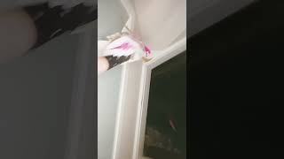 dragon throw the chicken into the dungeos