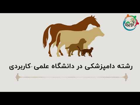 تصویری: طبقه بندی حمل و نقل کالا: انواع و ویژگی ها