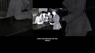 Duck That Fought in WW2 #History #WW2 #AnimalHistory #WeirdHistory #MilitaryHistory
