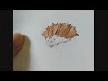 鉛筆画