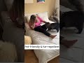 Hot Dog * Cool Comforter !
