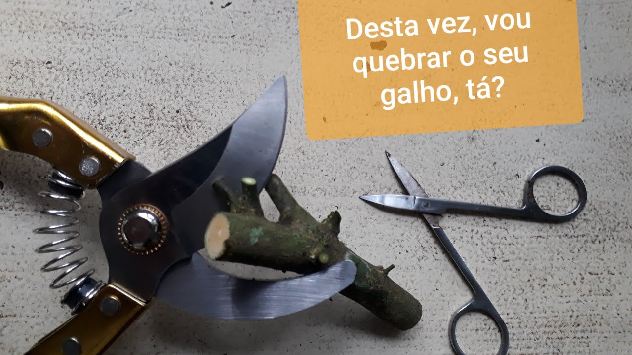Tesouras de Poda: Corte suave, para trabalho PESADO!