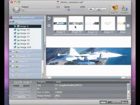 Flash Decompiler Trillix v4 ფლეშ ფაილების რედაქტირება