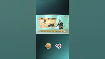 ما هي الصورة الفوتوغرافية الشهيرة التي انتحر صاحبها L ضفاف 