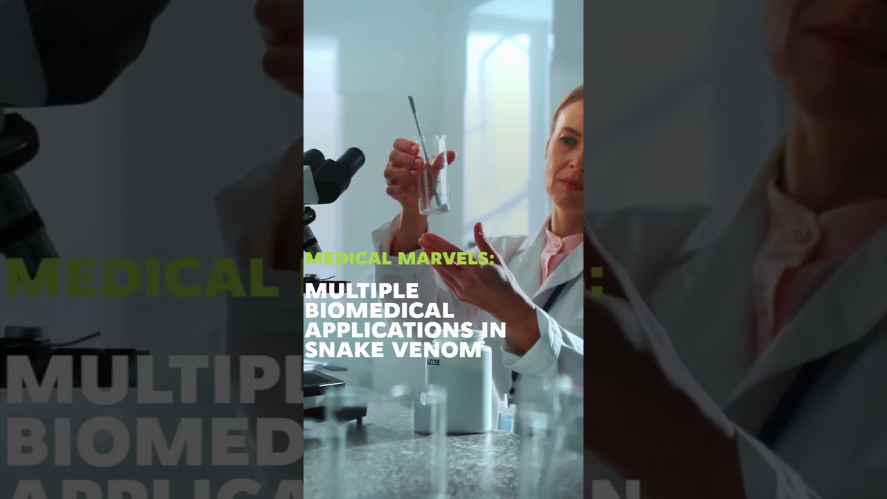 Snakes' ecological role