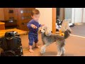 ついに赤ちゃんが立った！お遊びに付き合ってくれる犬のお兄さん