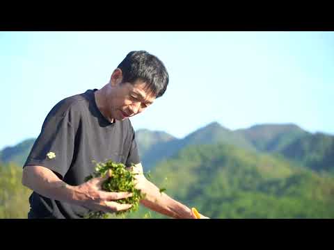 徳寿園 / オーガニック日本茶（プロモーション映像）