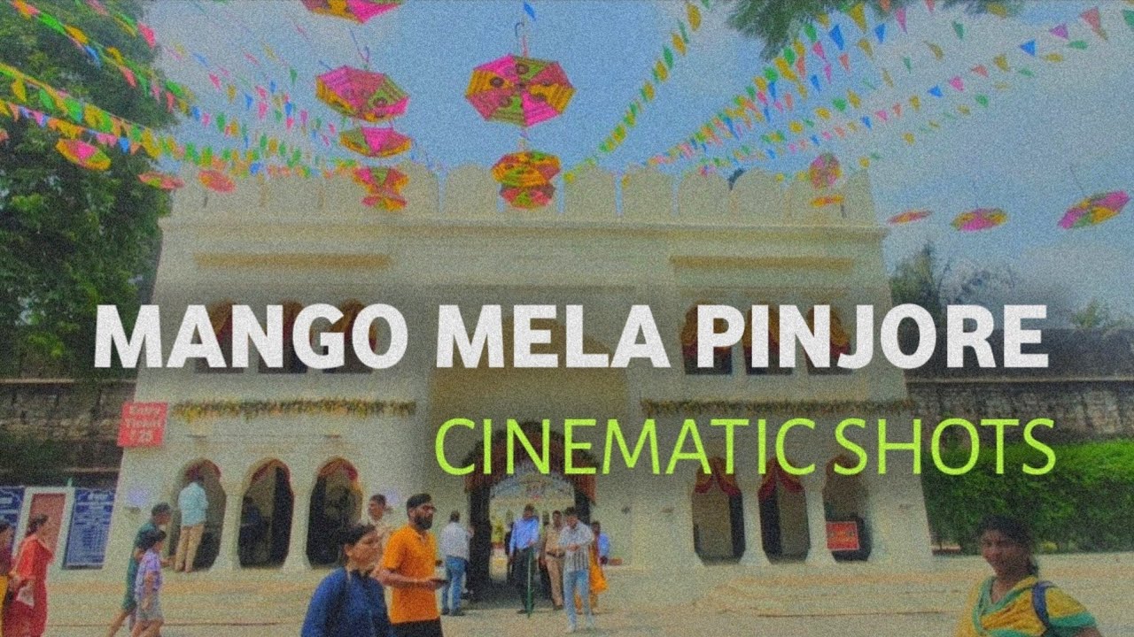31 Mango Mela Pinjore Cinematic Video Shots 2024 Mango Festival Pinjore Travle Mix Green