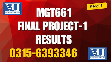 MGT661 Project Result