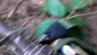 OTT Airsoft 2 screenshot 5