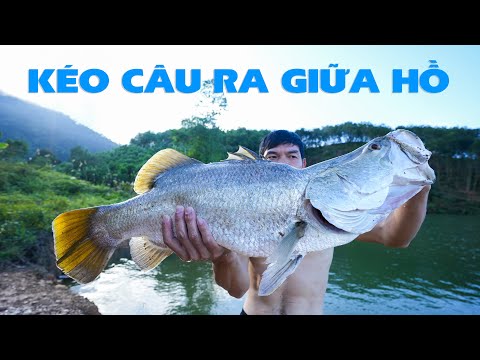 Video BỊ CÁ VƯỢC KÉO RA GIỮA HỒ - Thợ Rừng - youtube