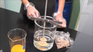 Osmosis T-STEM PROJECT FOR STEM EDUCATOR