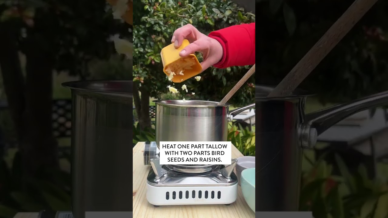 Create a DIY bird feeder 