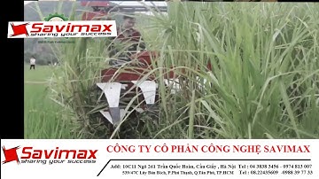 may cat co voi gia re; máy cắt cỏ voi xếp dãy --- 0974 813 007
