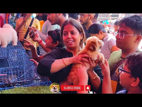 Recent DOG Puppy RPICE Update l Galiff Street Dog Market Kolkata l
