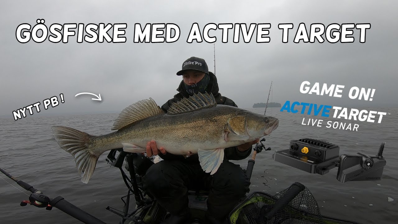 Gösfiske med Active target