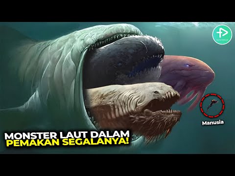 Video: Adakah suar menakutkan jerung?