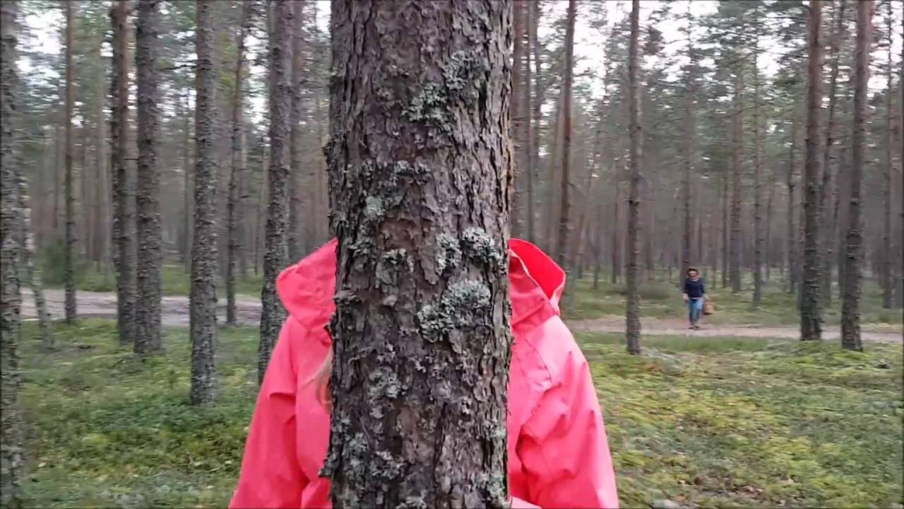 seen. ehk igavene otsing / mushroom. the eternal search (short documentary)