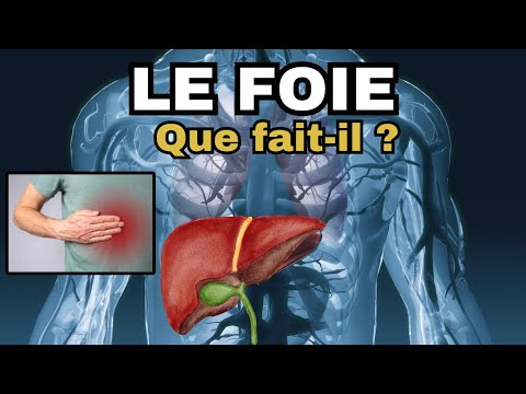 Vidéo: Sont synthétisés par le foie pour transporter les graisses ?