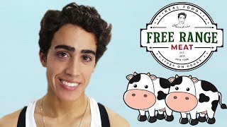 We bought TWO COWS! Fresh VS Frozen Meat