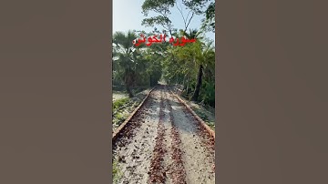 انا اعطيناك الكوثر فصل لربك وانحر ان شانئك هو #surahkawthar #سورة_الكوثر #lyrics #lyrics #travel