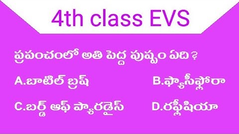 TS#tet#paper 1#4th class#EVS#practice bits-3