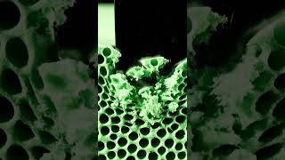💥 The Crunchiest Video on the Internet. (Dry Floral Foam ASMR) 🎧 #asmr #relax #brainmassage #satisfy