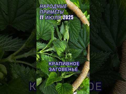 11 июля народные приметы. Приметы на каждый день. Именины 11 июля.
