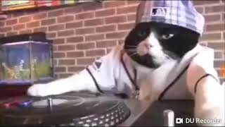 Download Dc İstanbul Kedi Remix !!! Acayip Komik Vlog#1 Video MP3 Dc İstanbul Kedi Remix !!! Acayip Komik Vlog#1