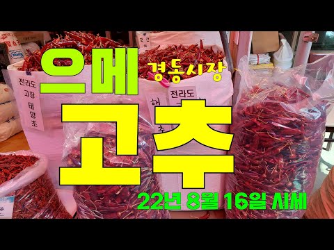햇 고추시세 경동시장 고추