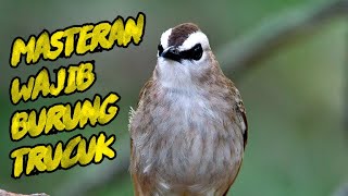 30 MENIT TANPA IKLAN MASTERAN TRUCUKAN TRUCUK GACOR ROPEL PANJANG #trucukan #trucukanropel