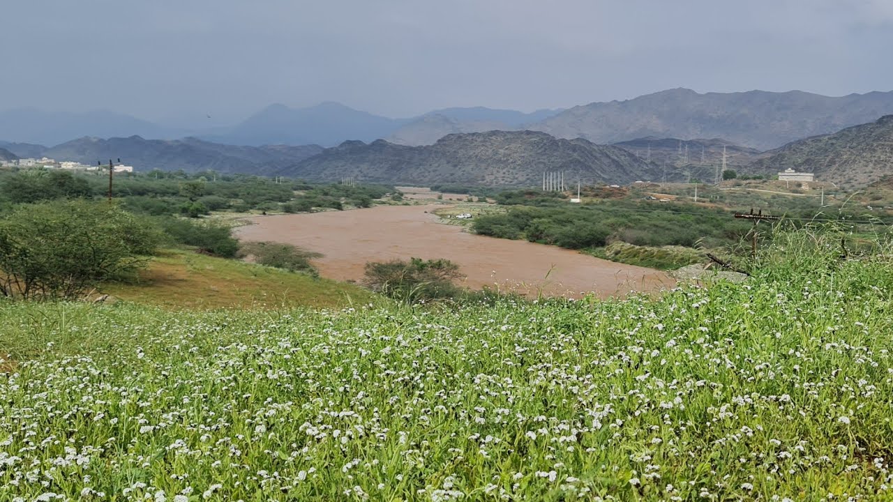 سحابة بني عيسى الغزييييييرة