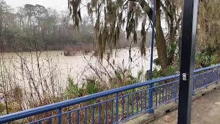 Albany city employee reported missing after falling into the Flint River