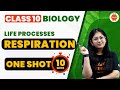 Respiration One Shot Revision in 10 Mins | Life Processes Class 10 Science Biology #CBSE2024