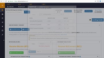 My  First Bitconnect Video! For The Michael Crypto Contest!