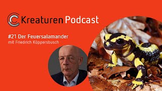 Kreaturen Podcast - Folge 21: Der Feuersalamander mit Friedrich Küppersbusch
