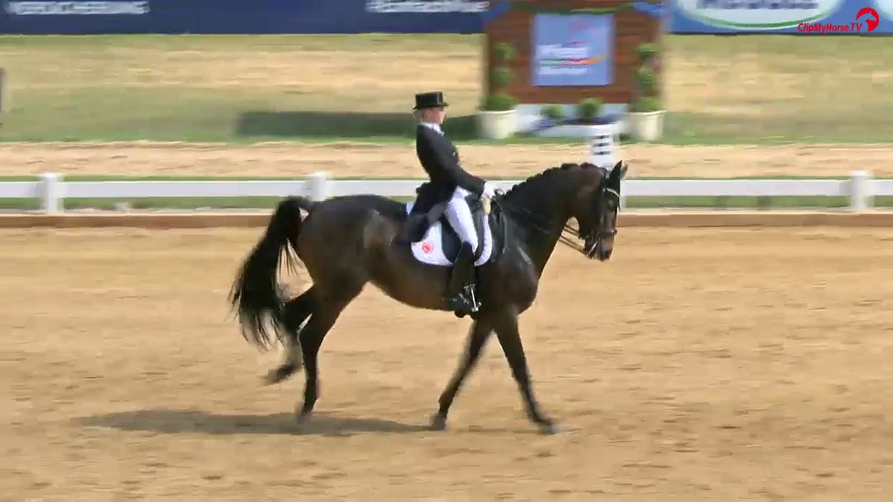 Siegerin des Preises des Gestüts Ammerland Jessica von Bredow Werndl mit TSF Dalera BB