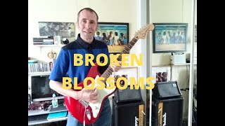 BROKEN BLOSSOMS by TONY - A Dusty Springfield cover.