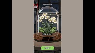 Flower Forest Word Puzzle– Level 17 Gameplay & Solution