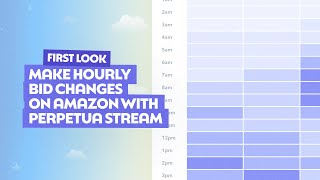 Make Hourly Bid Changes on Amazon with Perpetua Stream
