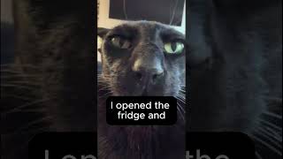 Evil Larry was in my Fridge...  #memes #cat #evillarry #funny
